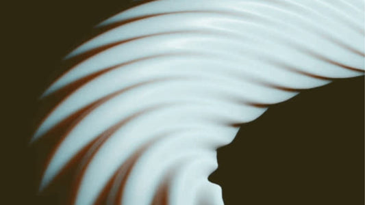 Cumberland | How I See The World - Travis Clifton