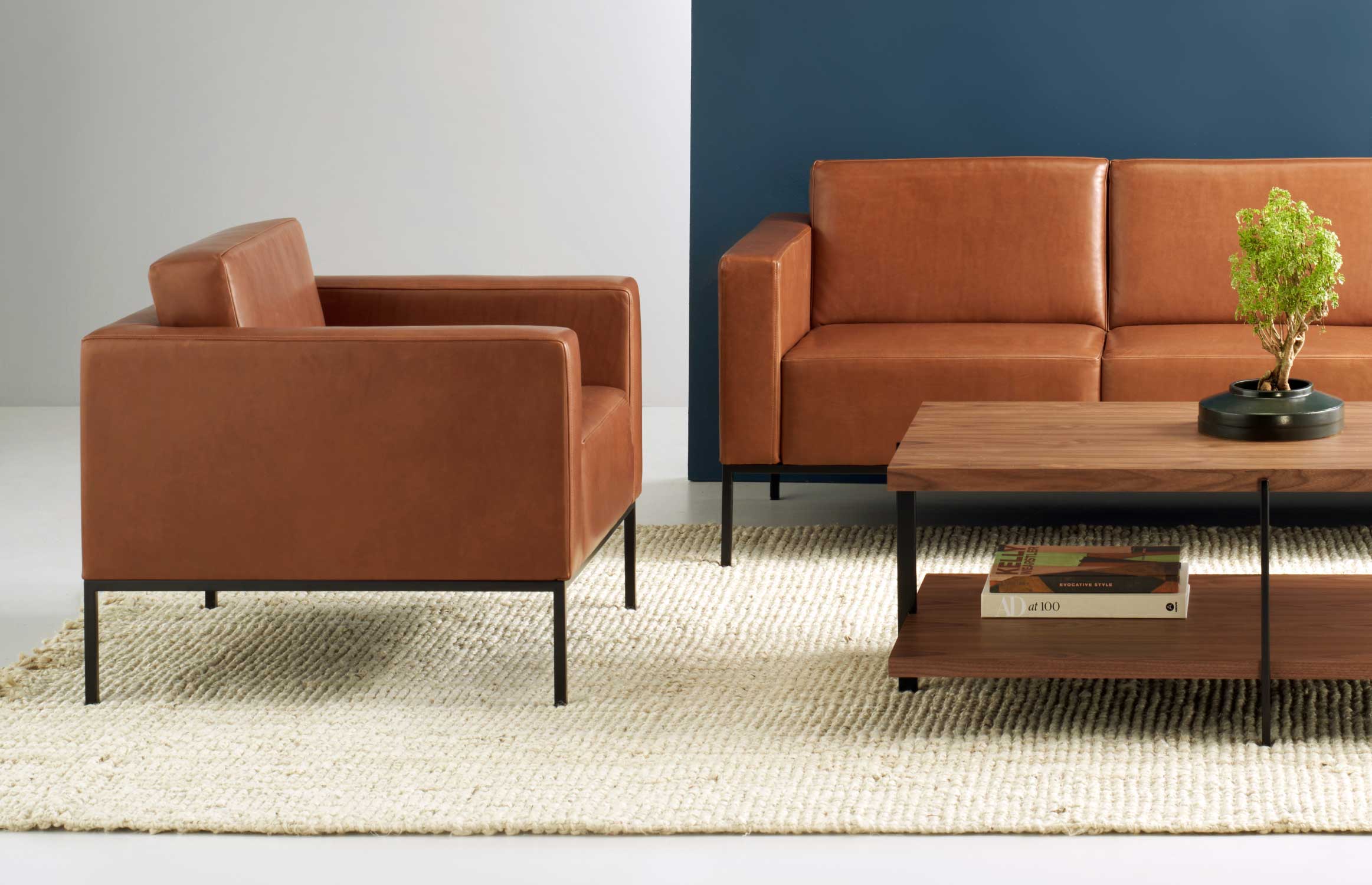 Alia Lounge / Slide / Environmental / Morgan 001