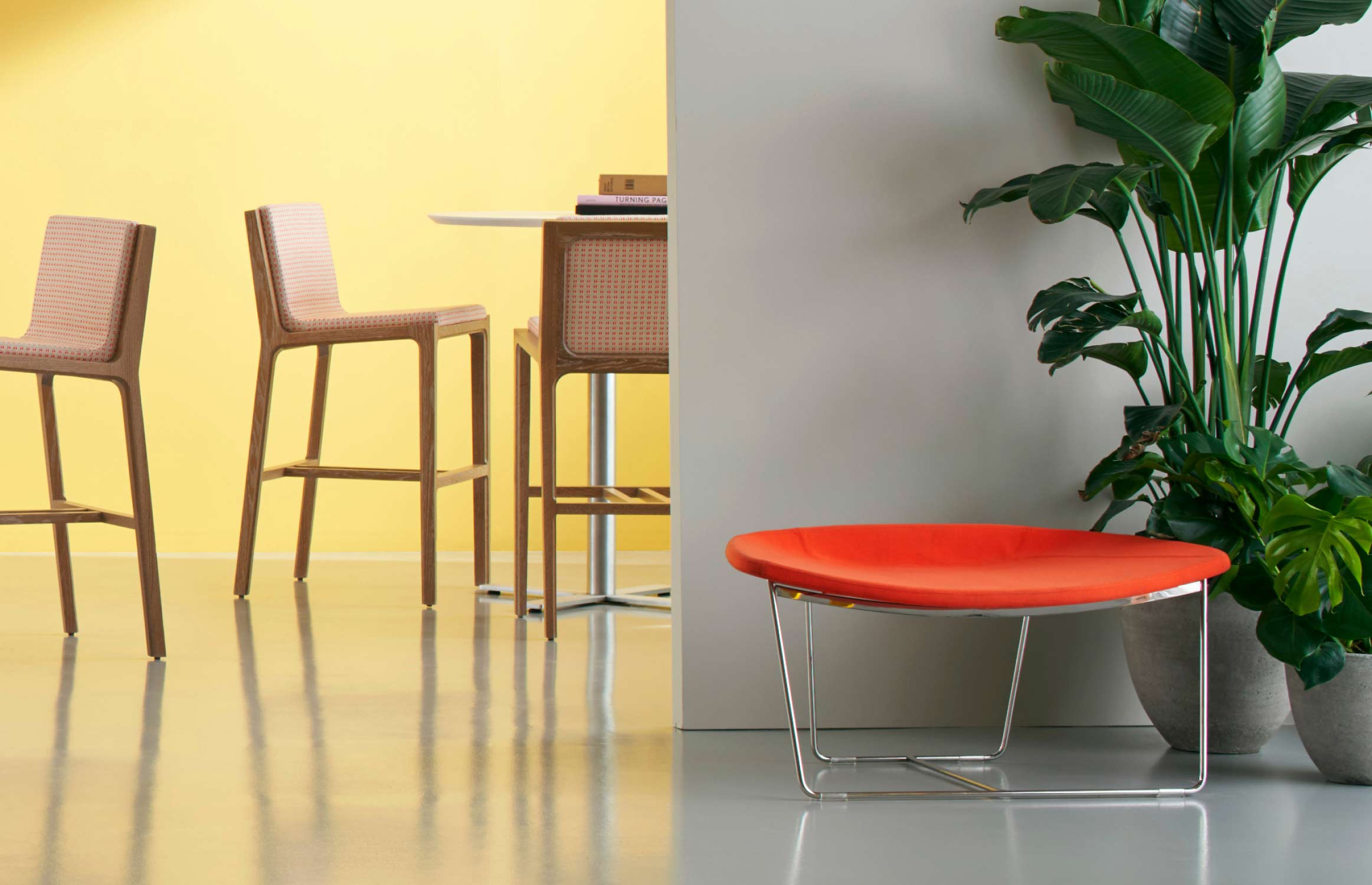 Current Bench / Slide / Environmental / Revo Capri 001