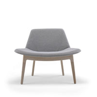 Current Lounge / Option / Base / Wood